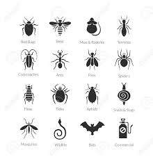 Check mattresses, headboards, behind picture frames, in drawers. Pin By Pest Control On Bed Bugs Bed Bugs Vector Illustration Bed Bug Bites