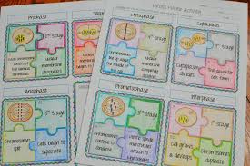 Bioflix Activity Mitosis The Cell Cycle Mitosis Puzzle Activity Mitosis Activity Mitosis Teaching Biology