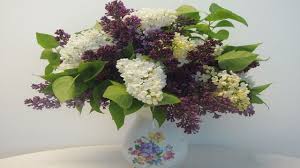 Flieder Fur Die Vase Schneiden Deko Ideen Mit Flora Shop In 2020 Dekorative Vasen Blumen Vase Wandvase