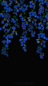 Black And Blue Flowers Wallpaper Black Wallpaper Iphone Wallpaper Fondos De Pantalla Bonitos Fondos De Pantallla Fondos De Pantalla De Iphone