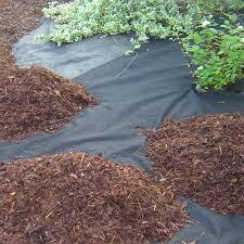 Gemuse anbauen unter vlies netz und folie mein schoner garten. Unkrautschutzvlies 80g M 2m X 5m Gartenvlies Kiesbeetvlies Vlies
