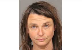 Jury convicts Santa Maria woman of striking Arroyo Grande officer with car