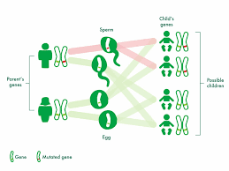 Signs and symptoms of childhood colorectal cancer usually depend on where the tumor forms. Familial Adenomatous Polyposis Fap Diagnosis Surgery Macmillan Cancer Support