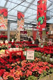 Photo Credits Oliver Mathys Garden Center Displays Flower Nursery Garden Center