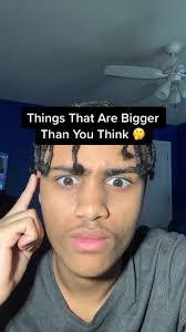 Picture of Moose Compared to Car