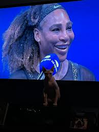 Dr. Kristi Yee (@gr8dvm)