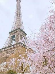 Musim berseminya bunga sakura di jepang sering dimanfaatkan warga lokal maupun wisatawan buat piknik alias hanami. 5 Kota Selain Di Jepang Yang Tawarkan Keindahan Sakura Mekar Lifestyle Liputan6 Com