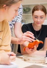 Honours and Masters of Biological Sciences