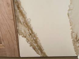 Worried the britannica gold is too loud or will be outdated in a few years. Need Opinions Cambria Britannica Gold Or Silestone Calacutta Gold