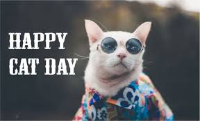 International cat day 2021 is celebrated on august 8 every year. Happy Global Cat Day 2021 October 16 Cat Day Quotes Wishes Slogans