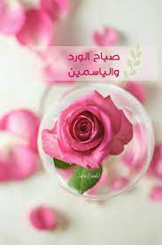 pic vibes صباح الورد والياسمين good morning greetings morning pictures morning greeting