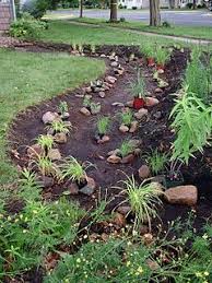 The Obsessive Gardener Rain Garden Update Rain Garden Design Rain Garden Backyard Landscaping