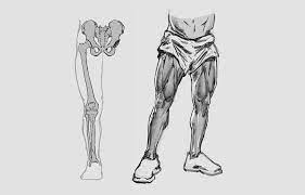 Check spelling or type a new query. How To Draw Legs The Easy Step By Step Guide With Simplified Anatomy Gvaat S Workshop