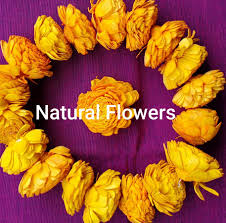 We did not find results for: Real Looking Orange Marigold Beli Garlands Strings 43213 Buy Artificial Flowers Online