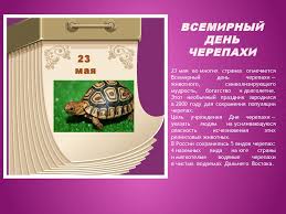 Не пропустите информацию о грядущем дне. Ekologicheskij Kalendar Prezentaciya Onlajn