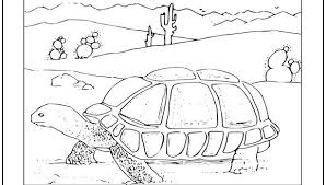 Fire fighter tortoise carrying an axe. Tag Desert Tortoise Coloring Page Print It Free