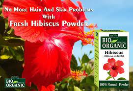 Organic Hibiscus Flower Powder Ayurvedic Herbs Hibiscus Skin Benefits