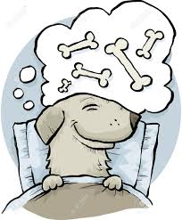 The quality of the bed is very essential in terms of interpretation. A Cartoon Dog Dreaming Of Bones While Asleep In Bed Royalty Free Cliparts Vectors And Stock Illustration Image 29157079