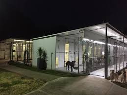 Vern ryan's pet resort in west melbourne is the best pet resort for dogs & cats. Yuroke Boarding Kennels Cattery Home Facebook