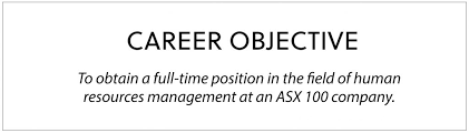 professional resume writing guide