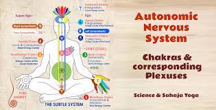Yoga can also help stimulate the nervous system.th. Autonomic Nervous System Chakras Corresponding Plexuses Spreading Sahaja Yoga