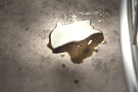 See full list on wikihow.com Brake Fluid Leak Cause Symptoms Wagner Brake