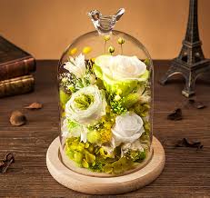 With vibrant rose colors accented. Eternal Wedding Preserved Flower Arrangement Rose In Glass Dome As Wedding Giveaways View Preserved Rose In Glass Dome Menghuang Product Details From Yunnan Menghuang Trade Co Ltd On Alibaba Com
