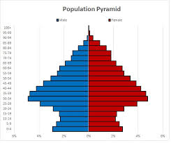 Population Pyramid Chart From Powerpivot Data Download