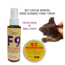 Cara memberi ubat pil kepada kucing via kucingutara.blogspot.com. Readystok Ubat Kucing Set Untuk Penyakit Kerapu Kurap Jenis Scabies Shopee Malaysia