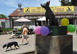 Dog On The Tuckerbox Official Return Post Vandalism Party To Be Held At Gundagai Port Lincoln Times Port Lincoln Sa