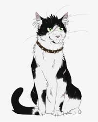 Just another crazy cat lady attempting the 100 wc challenge. Anime Warrior Cats Bone Hd Png Download Transparent Png Image Pngitem
