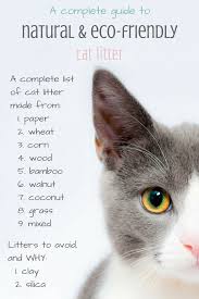What questions do you have? A Complete List Of The Most Eco Friendly Cat Litters