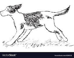 Running Dog On Grass Hand Drawing Royalty Free Vector Image