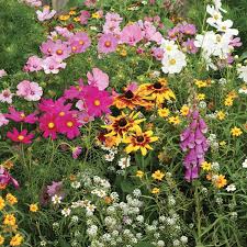 If purple doesn't pair well with your garden's color. Cottage Garden Mix Wildflowers Flowers And Bulbs Veseys