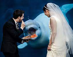 These Hilarious Photos Show When The Wedding Image You Had In Mind Doesn T Quite Turn Out As Expected Bri Funny Wedding Photos Wedding Humor Wedding Photos