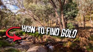 We've found gold, for instance, along a sandy bank of a river in colorado that meandered through a meadow (so we could dig only at sharp bends in the river, it will drop on the inside curve where the flow is slower and the pressure of the current eases. How To Find Gold Every Time Youtube