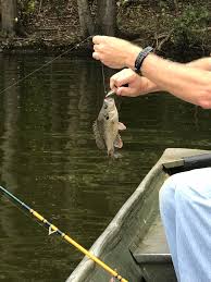 Hours may change under current circumstances Cane Creek Park Nc Fishing Reports Map Hot Spots