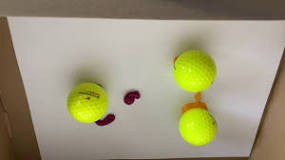 Image result for how to make golf ball flowers