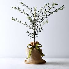 Instead of a bouquet, make your gift stand out by sending a succulent gift set. 27 Meaningful Condolence Gifts For Grieving Friends 2021 The Strategist New York Magazine