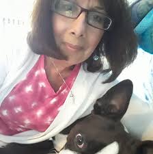 What are some good horror comedy films?