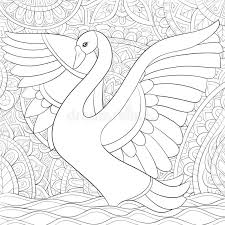 The swans' closest relatives include the geese and ducks. Adult Coloring Book Page A Cute Swan On The Abstract Background With Ornaments Image For Relaxing Zen Art Style Illustration Stock Vector Illustration Of Background Decoration 147308322