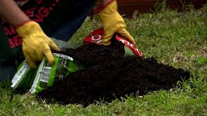 I'm attaching a video that will guide you. How To Top Dress Aerate Your Lawn D I Y At Bunnings Youtube