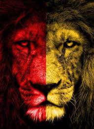 We did not find results for: Gs Aslan Pencesi Home Facebook