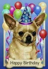 Birthday With Chihuahua Happy Birthday Greetings Friends Happy Birthday Greetings Happy Birthday Emoji