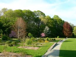 Check spelling or type a new query. Arnold Arboretum Garden