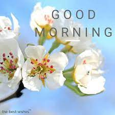 Pin On Greetings