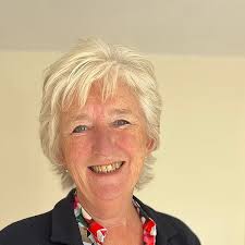 Using Grounded Theory: How to Develop Theory for Managed Change:  9781738556205: Medicine & Health Science Books @ Amazon.com