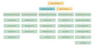 Hospital Organizational Structure Philippine General