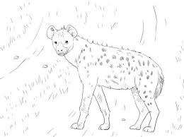 Hyena 4 In 2020 Zoo Coloring Pages Lion Coloring Pages Animal Coloring Pages