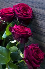 Rose Birthday Flowers For Her 10 Kinds Of Flowers You Can Easily Offer Your Other Half On Her Birthday Party Beautiful Rose Flowers Red Flower Bouquet Red Roses